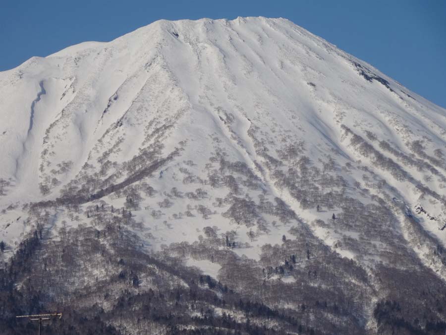 http://www.norte-sapporo.com/JP/09R6-DSC00518.jpg