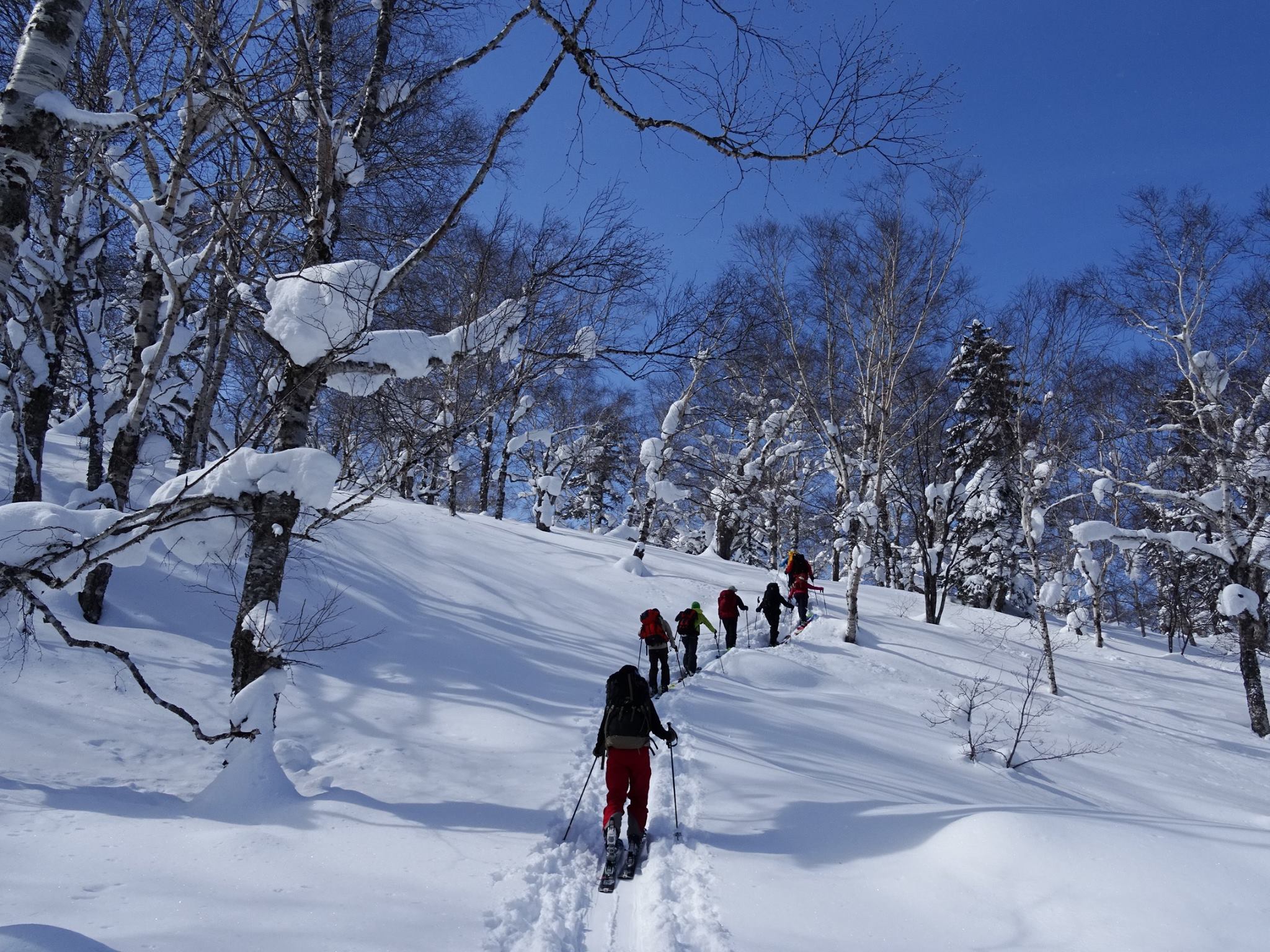 http://www.norte-sapporo.com/JP/3_17436256_1314357628632557_6251602997677075497_o.jpg