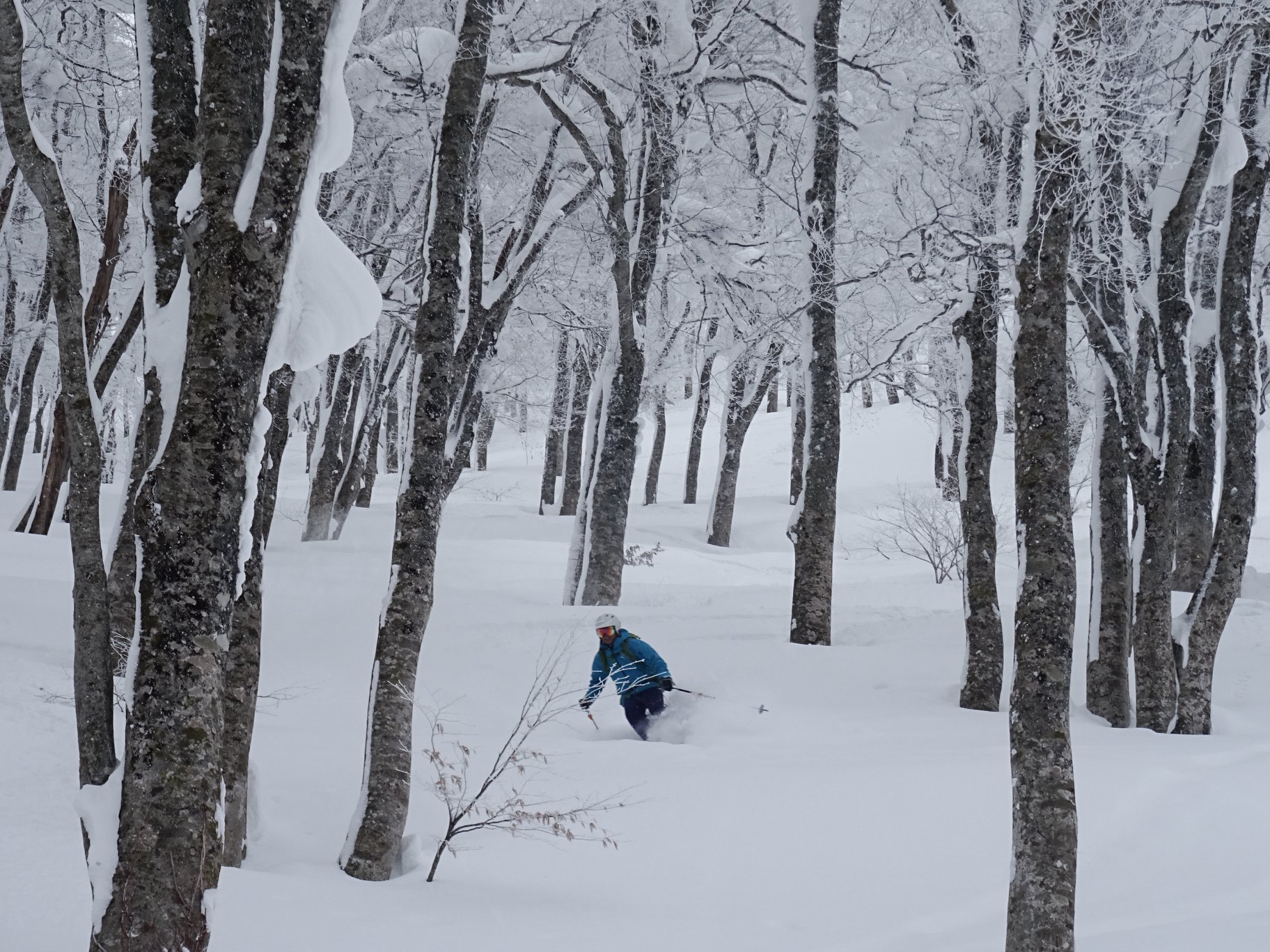 http://www.norte-sapporo.com/JP/51214124_2074260135975632_4717797403132952576_o.jpg