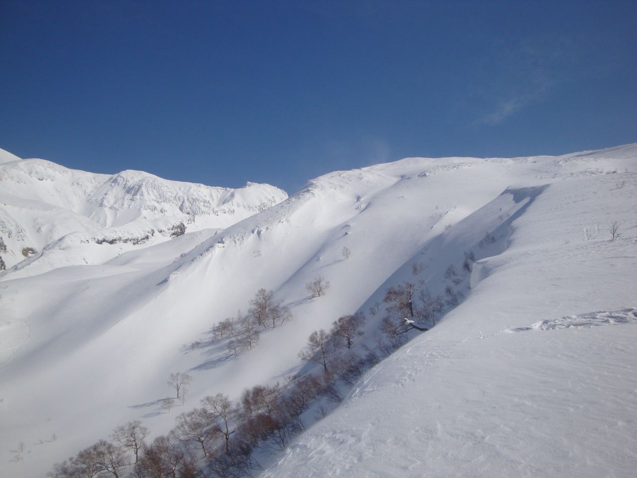 http://www.norte-sapporo.com/JP/PBC5_DSC05439.jpg