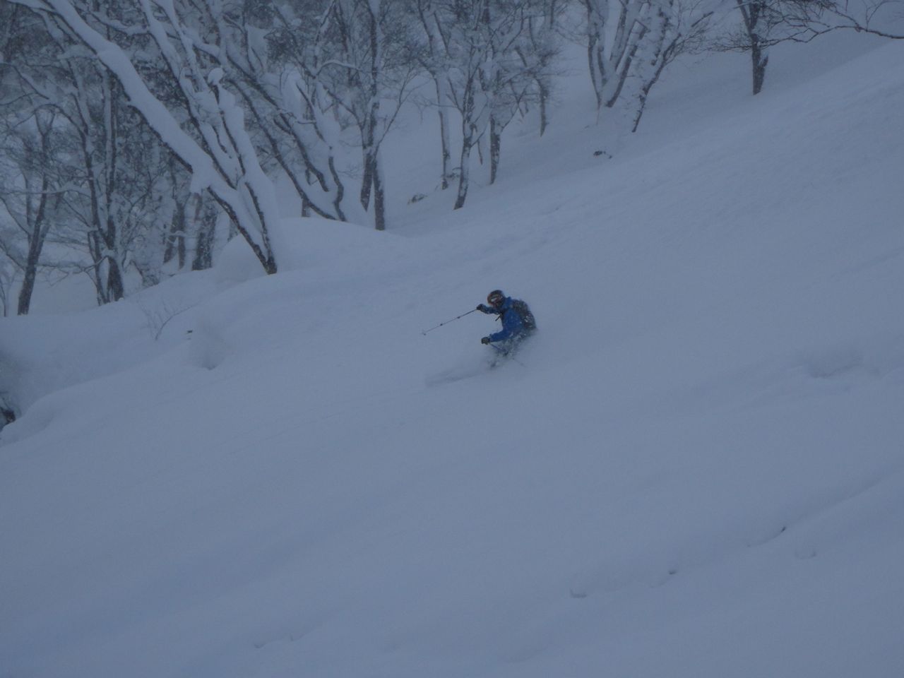 http://www.norte-sapporo.com/JP/norte_pbc2011-12-04.jpg